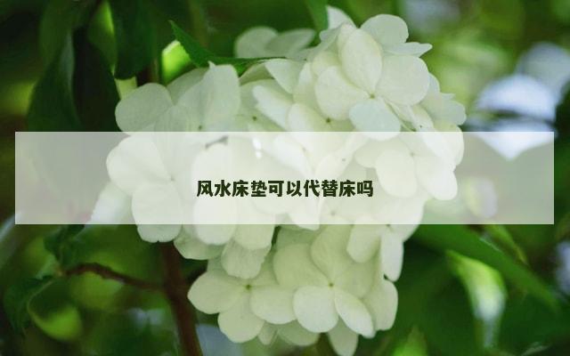 风水床垫可以代替床吗