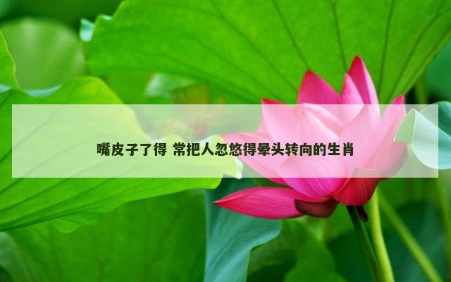 嘴皮子了得 常把人忽悠得晕头转向的生肖