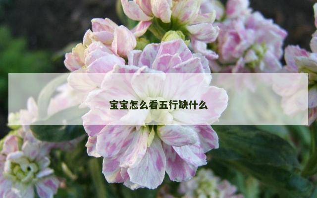 宝宝怎么看五行缺什么