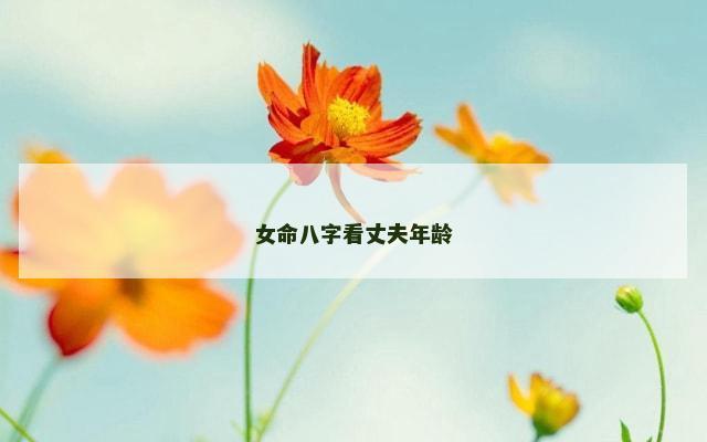 女命八字看丈夫年龄