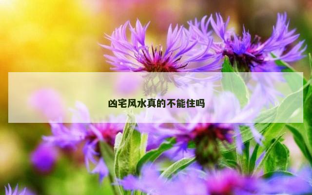 凶宅风水真的不能住吗