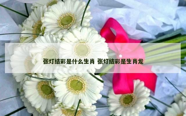 张灯结彩是什么生肖 张灯结彩是生肖龙