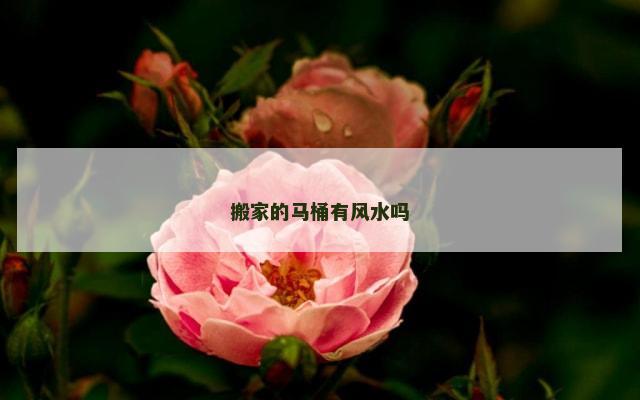 搬家的马桶有风水吗