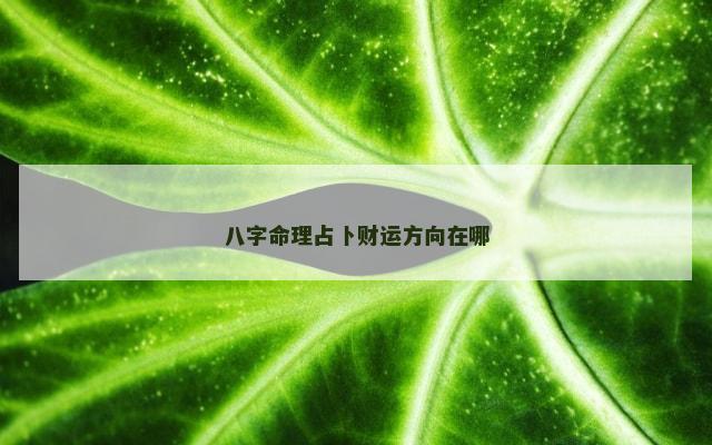 八字命理占卜财运方向在哪