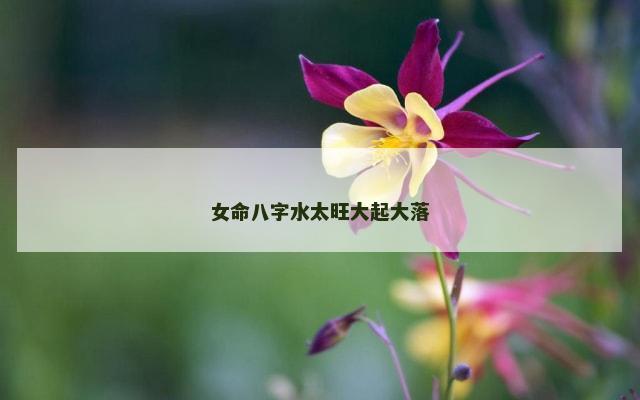 女命八字水太旺大起大落