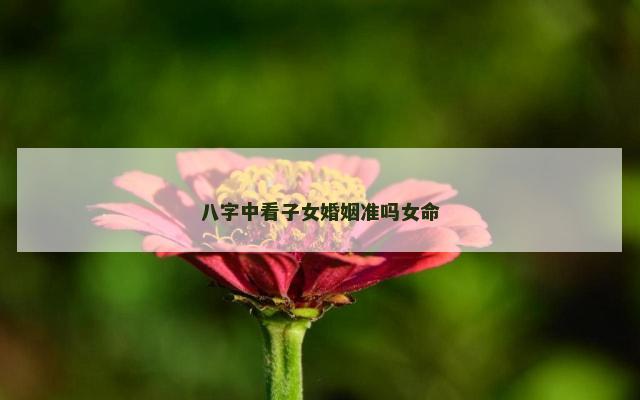 八字中看子女婚姻准吗女命