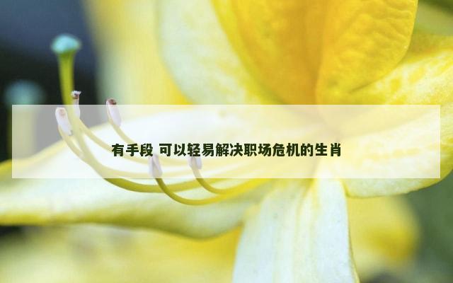 有手段 可以轻易解决职场危机的生肖