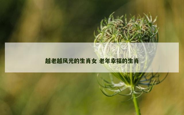越老越风光的生肖女 老年幸福的生肖