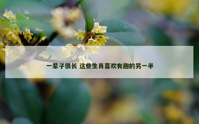 一辈子很长 这些生肖喜欢有趣的另一半