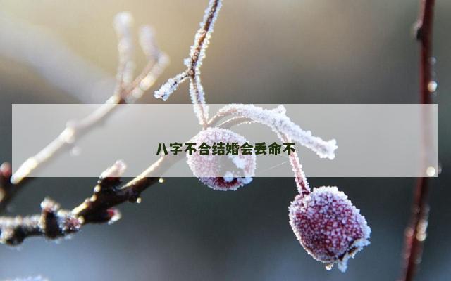 八字不合结婚会丢命不