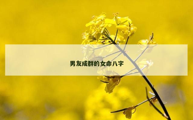 男友成群的女命八字
