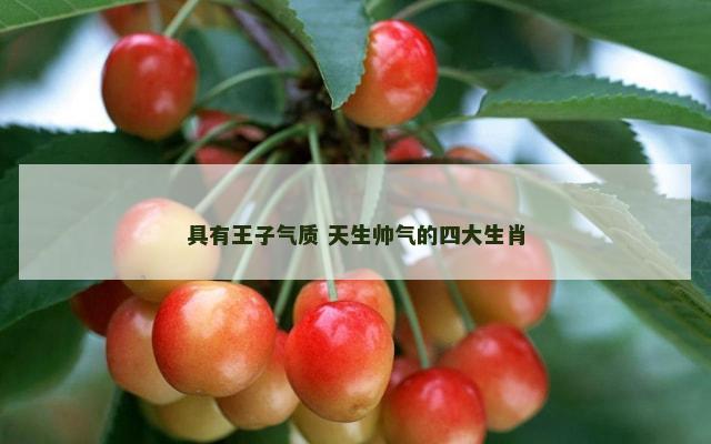 具有王子气质 天生帅气的四大生肖