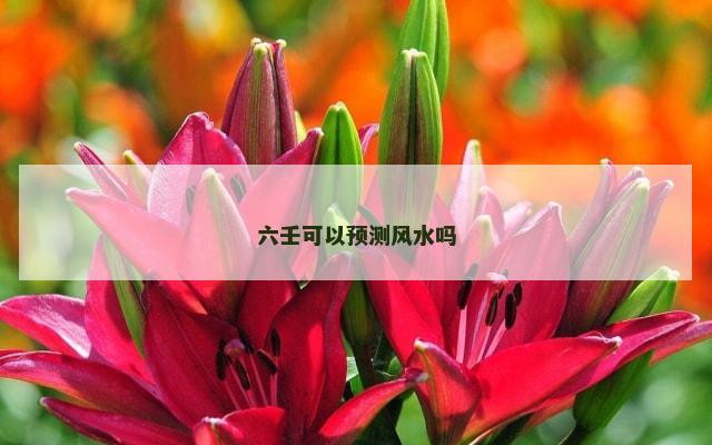 六壬可以预测风水吗