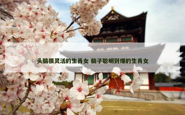头脑很灵活的生肖女 脑子聪明到爆的生肖女