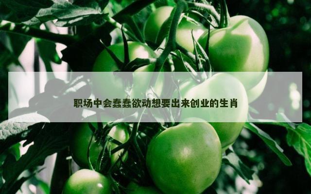 职场中会蠢蠢欲动想要出来创业的生肖