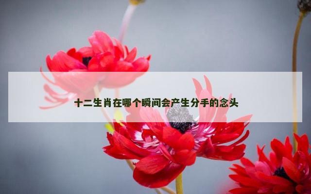 十二生肖在哪个瞬间会产生分手的念头