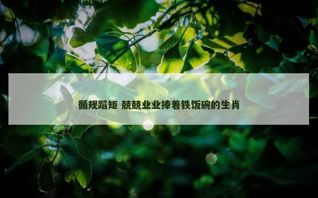 循规蹈矩 兢兢业业捧着铁饭碗的生肖