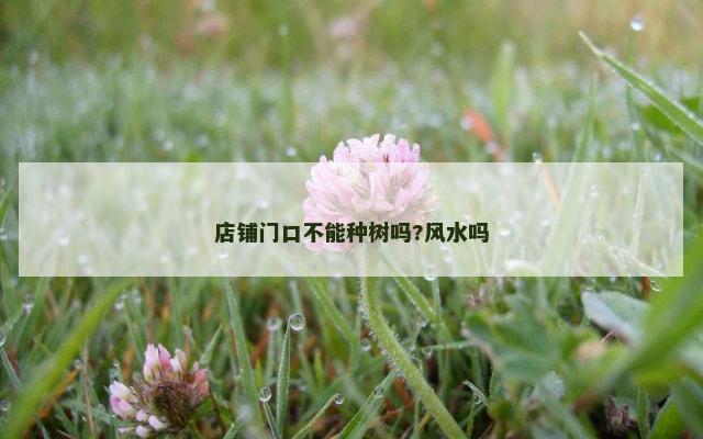 店铺门口不能种树吗?风水吗