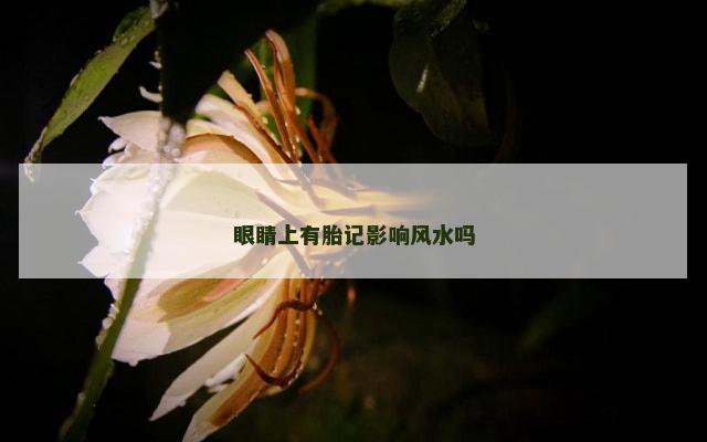 眼睛上有胎记影响风水吗