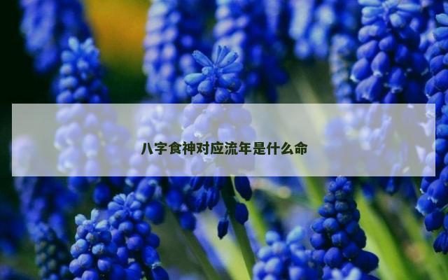 八字食神对应流年是什么命