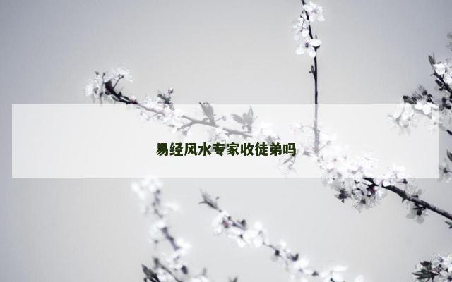 易经风水专家收徒弟吗
