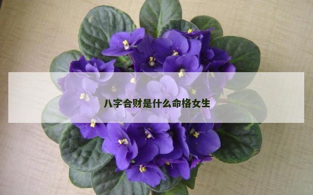 八字合财是什么命格女生