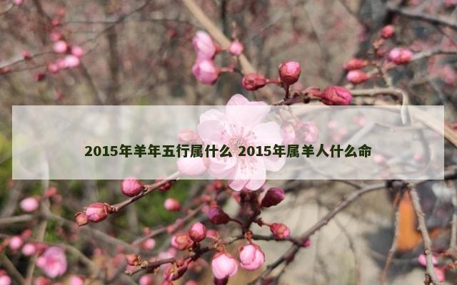 2015年羊年五行属什么 2015年属羊人什么命
