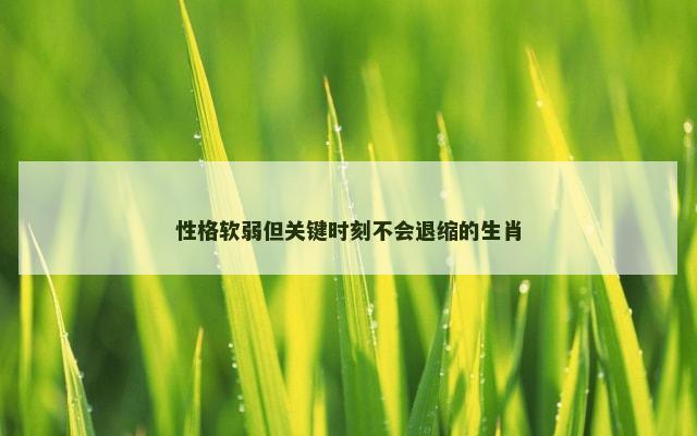 性格软弱但关键时刻不会退缩的生肖