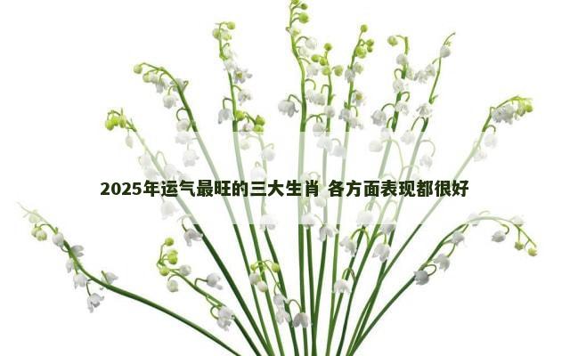 2025年运气最旺的三大生肖 各方面表现都很好