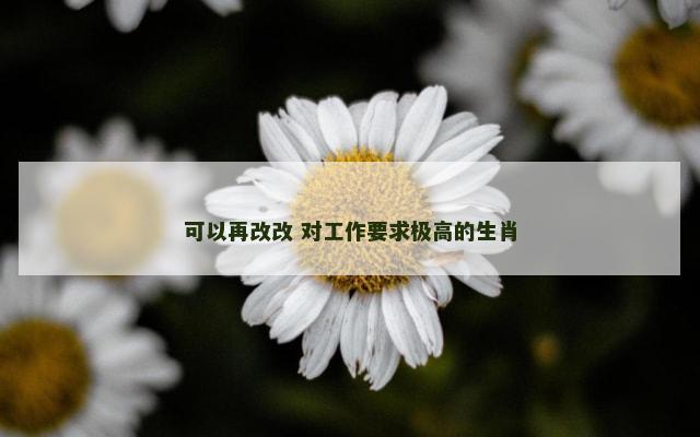 可以再改改 对工作要求极高的生肖