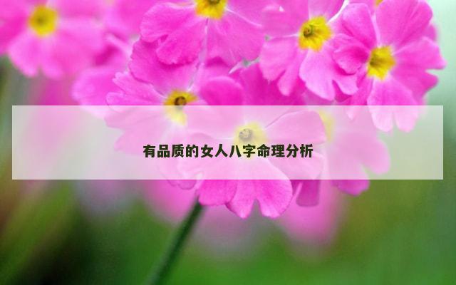 有品质的女人八字命理分析