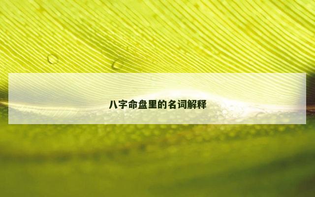 八字命盘里的名词解释