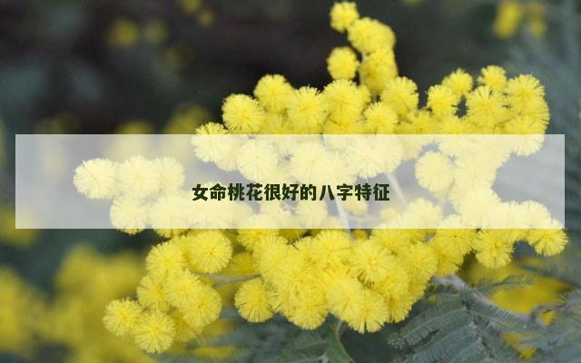 女命桃花很好的八字特征