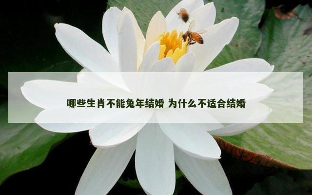 哪些生肖不能兔年结婚 为什么不适合结婚