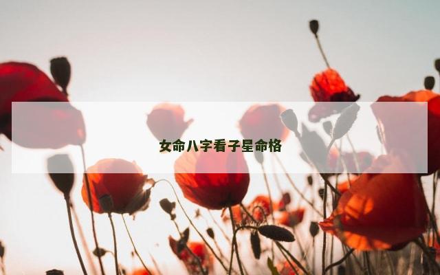 女命八字看子星命格