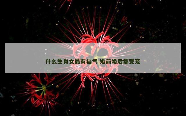 什么生肖女最有福气 婚前婚后都受宠