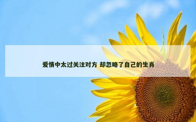 爱情中太过关注对方 却忽略了自己的生肖
