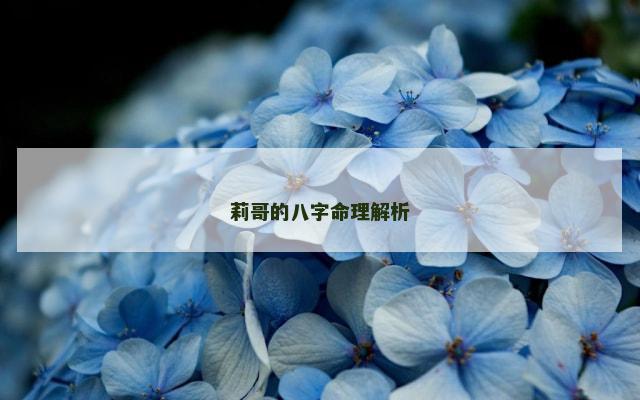 莉哥的八字命理解析