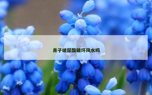 鼻子玻尿酸破坏风水吗