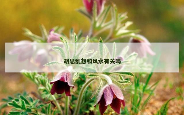 胡思乱想和风水有关吗