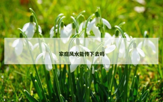 家庭风水能传下去吗