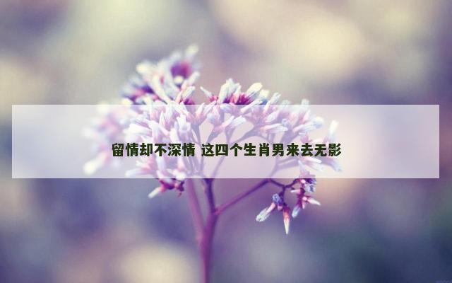 留情却不深情 这四个生肖男来去无影