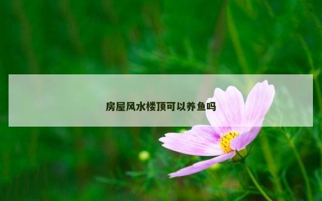房屋风水楼顶可以养鱼吗