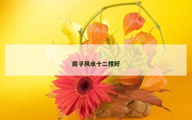 房子风水十二楼好