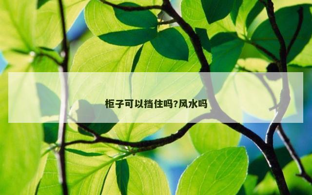 柜子可以挡住吗?风水吗