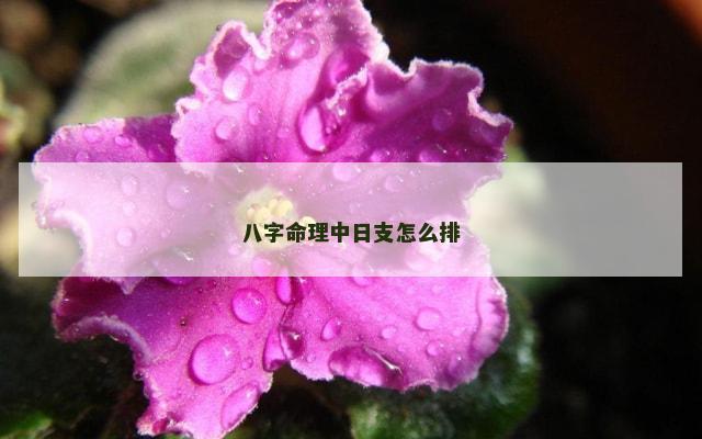 八字命理中日支怎么排