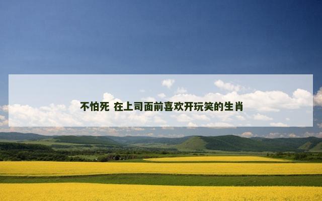 不怕死 在上司面前喜欢开玩笑的生肖