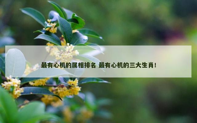 最有心机的属相排名 最有心机的三大生肖！