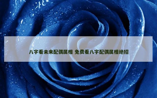 八字看未来配偶属相 免费看八字配偶属相绝招