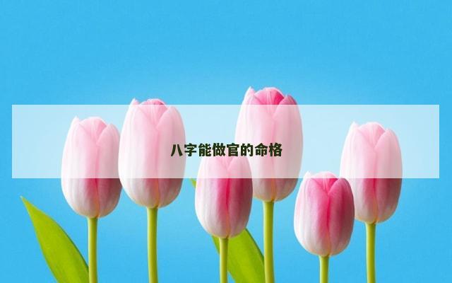 八字能做官的命格